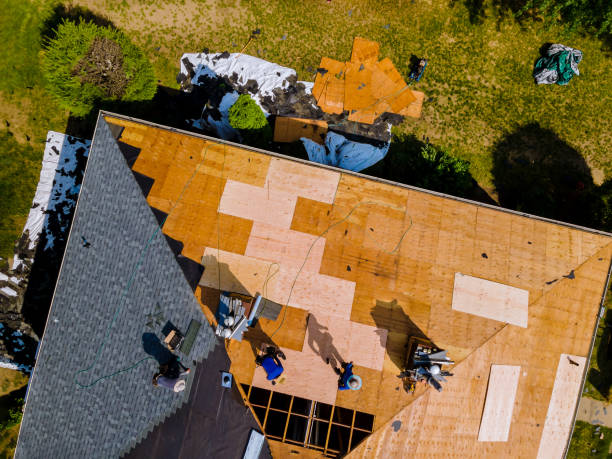 Best Metal Roofing Contractor  in Martinez, CA